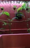 Туры в отель PinkCoco Bali Туры в отель PinkCoco Bali