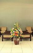 Туры в отель Hotel Griya Asri Туры в отель Hotel Griya Asri
