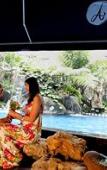 Туры в отель Amaroossa Hotel Bandung Indonesia Туры в отель Amaroossa Hotel Bandung Indonesia