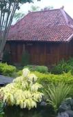 Туры в отель Tembi Rumah Budaya Туры в отель Tembi Rumah Budaya