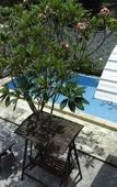 Туры в отель Griya Nendra Hotel Туры в отель Griya Nendra Hotel