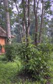 Туры в отель Rumah Boedi Private Residence Villa Туры в отель Rumah Boedi Private Residence Villa