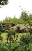 Туры в отель Green Forest Resort & Wedding by Horison Туры в отель Green Forest Resort & Wedding by Horison