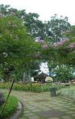 Туры в отель Green Forest Resort & Wedding by Horison Туры в отель Green Forest Resort & Wedding by Horison