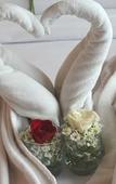 Туры в отель World Hotel Туры в отель World Hotel