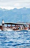 Туры в отель Trawangan Dive Centre Туры в отель Trawangan Dive Centre