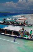 Туры в отель Trawangan Dive Centre Туры в отель Trawangan Dive Centre