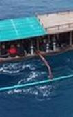 Туры в отель Trawangan Dive Centre Туры в отель Trawangan Dive Centre