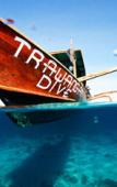 Туры в отель Trawangan Dive Centre Туры в отель Trawangan Dive Centre