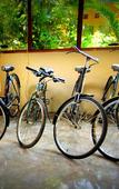 Туры в отель Mettaloka Guest House and Art Space Туры в отель Mettaloka Guest House and Art Space