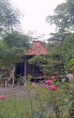 Туры в отель Mettaloka Guest House and Art Space Туры в отель Mettaloka Guest House and Art Space