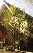 Туры в отель Mettaloka Guest House and Art Space Туры в отель Mettaloka Guest House and Art Space