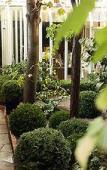 Туры в отель Mercure Champs Elysees Туры в отель Mercure Champs Elysees