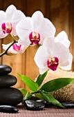 Туры в отель Hotel NEO Dipatiukur - Bandung by ASTON Туры в отель Hotel NEO Dipatiukur - Bandung by ASTON