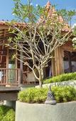 Туры в отель Hidden Hills Villas - Small Luxury Hotels of The World Туры в отель Hidden Hills Villas - Small Luxury Hotels of The World