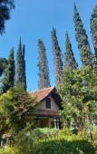 Туры в отель Grand Panorama Lembang Туры в отель Grand Panorama Lembang