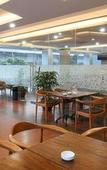 Туры в отель Terraz Tree Hotel Туры в отель Terraz Tree Hotel