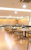 Туры в отель Terraz Tree Hotel Туры в отель Terraz Tree Hotel