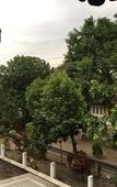 Туры в отель Griya Yunika Boutique Hotel Туры в отель Griya Yunika Boutique Hotel