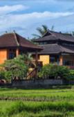 Туры в отель Mandala Desa Boutique Resort Туры в отель Mandala Desa Boutique Resort