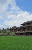 Туры в отель Mandala Desa Boutique Resort Туры в отель Mandala Desa Boutique Resort