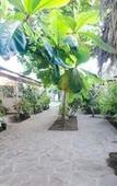 Туры в отель Si Pitung Village Туры в отель Si Pitung Village