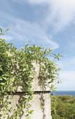 Туры в отель Vivo Villas - Villa Vivo Туры в отель Vivo Villas - Villa Vivo