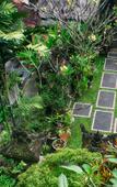 Туры в отель Rumah Roda Guest House & Homestay Туры в отель Rumah Roda Guest House & Homestay