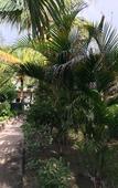 Туры в отель Warna Beach Hotel Туры в отель Warna Beach Hotel