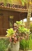 Туры в отель Bedhot Homestay Туры в отель Bedhot Homestay