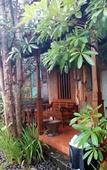 Туры в отель Bedhot Homestay Туры в отель Bedhot Homestay