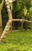 Туры в отель Bedhot Homestay Туры в отель Bedhot Homestay