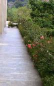 Туры в отель Wood Hotel Туры в отель Wood Hotel