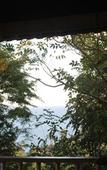 Туры в отель Frangipani Inn & Restaurant Туры в отель Frangipani Inn & Restaurant
