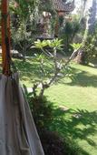 Туры в отель Frangipani Inn & Restaurant Туры в отель Frangipani Inn & Restaurant