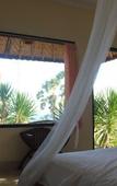 Туры в отель Frangipani Inn & Restaurant Туры в отель Frangipani Inn & Restaurant