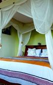 Туры в отель Frangipani Inn & Restaurant Туры в отель Frangipani Inn & Restaurant