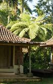 Туры в отель Prana Dewi Mountain Resort Туры в отель Prana Dewi Mountain Resort