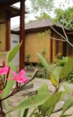 Туры в отель Timbis Homestay Bali Туры в отель Timbis Homestay Bali