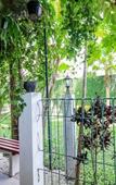 Туры в отель Embe Joglo Homestay Туры в отель Embe Joglo Homestay