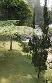 Туры в отель Cikole Jayagiri Resort Туры в отель Cikole Jayagiri Resort