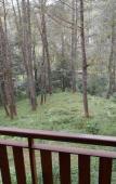 Туры в отель Cikole Jayagiri Resort Туры в отель Cikole Jayagiri Resort