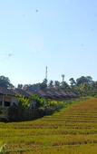 Туры в отель Umadhatu Resort by Amerta Туры в отель Umadhatu Resort by Amerta