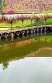 Туры в отель Ciwidey Jungle Camp & Villa Туры в отель Ciwidey Jungle Camp & Villa