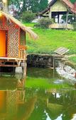 Туры в отель Ciwidey Jungle Camp & Villa Туры в отель Ciwidey Jungle Camp & Villa