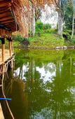 Туры в отель Ciwidey Jungle Camp & Villa Туры в отель Ciwidey Jungle Camp & Villa