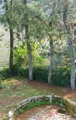 Туры в отель Ciwidey Jungle Camp & Villa Туры в отель Ciwidey Jungle Camp & Villa