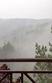 Туры в отель Ciwidey Jungle Camp & Villa Туры в отель Ciwidey Jungle Camp & Villa