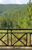 Туры в отель Ciwidey Jungle Camp & Villa Туры в отель Ciwidey Jungle Camp & Villa