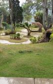 Туры в отель Ciwidey Jungle Camp & Villa Туры в отель Ciwidey Jungle Camp & Villa